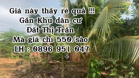 Gia đình khó khăn anh Lâm đứt ruột bán đi mảnh đất bao năm gắn bó để trả nợ và cho con đi học .