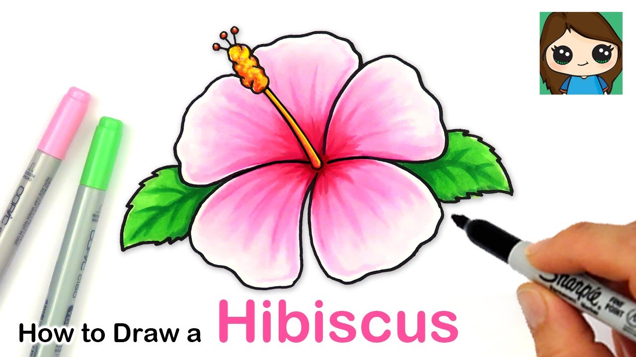 How to Draw a Hibiscus Flower Easy  - YouTube