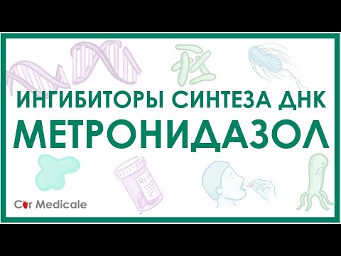 Метронидазол - ингибиторы синтеза ДНК - механизм действия, показания, противопоказания, побочка