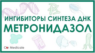 Метронидазол - ингибиторы синтеза ДНК - механизм действия, показания, противопоказания, побочка