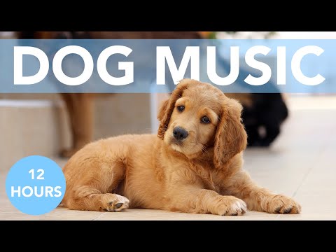 dog sleeping music 10 hours