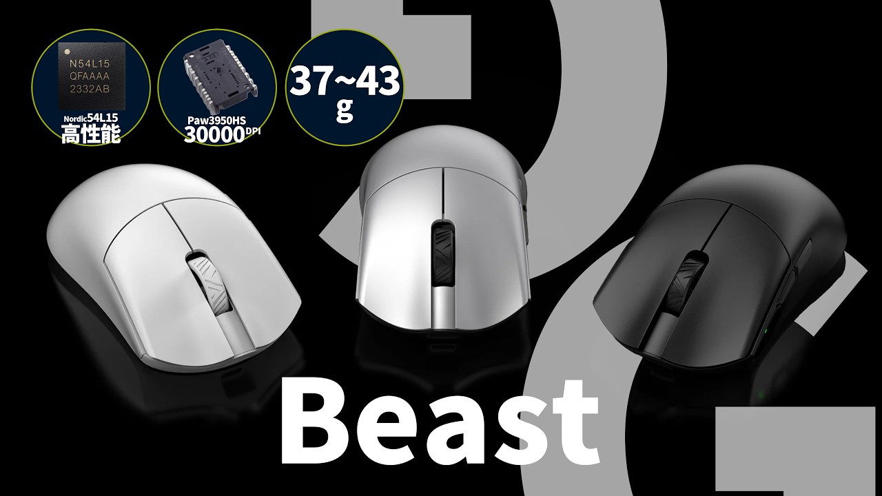 A Finalmouse-style mouse for 14,000 yen!? WLmouse Beast G - YouTube