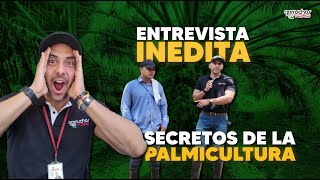 Cable vía en cultivos de palma de aceite | Entrevista inédita | #cablevia #palmicultura #garruchas