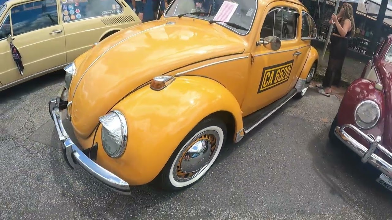 OLD CAR EXPERIENCE 
OLD CAR EXPERIENCE 
ROCK PORKS 2026 ROCK PORKS 2026