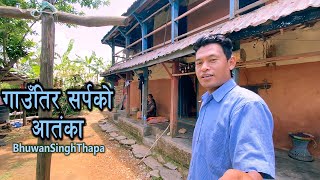 सर्पको आतंका हेर्नुस् घर वरीपरी / Snakes Around The House In The Village / Bhuwan Singh Thapa