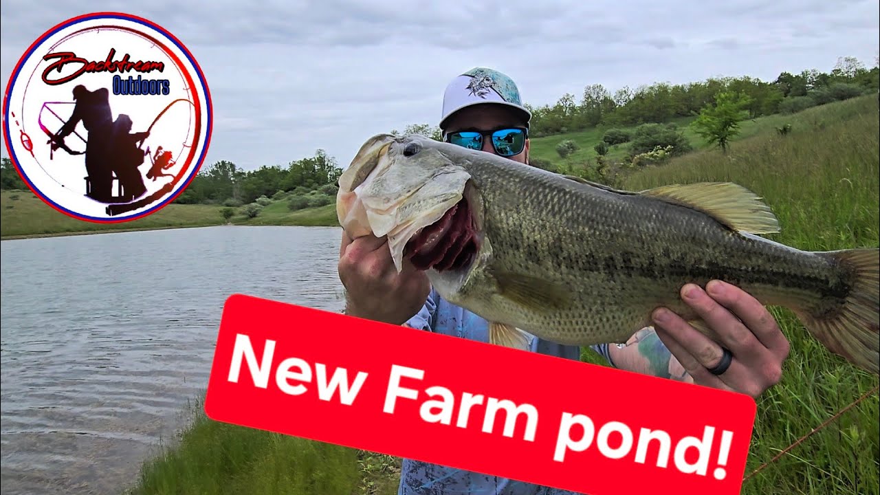 Largemouth Bass at new ponds! #bassfishing #fishing #outdoors