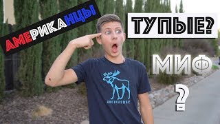 Американцы Тупые | Миф Или Реальность | Мой Опыт