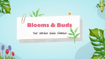 Gardening Youtube Channel Intro Video