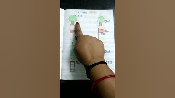 #Tall And Short #Opposite Words #shorts #ytshorts