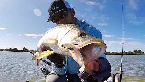 How To Skip Lures Under Mangroves For Big Snook