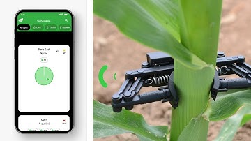 Phytech Pivot App for row crops growers
