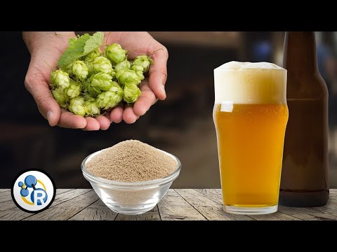 Amazing Craft Beer Chemistry That You Won't Be Taught At School