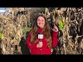 WUFT-TV NEWS First at Five  02/20/25