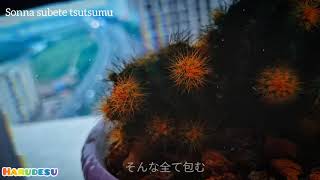 Phong Luyn Ca kara S  Japanese Vers  Zhima Mochi