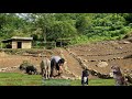 Dig the soil and stack rocks to create terraced fields to grow many types of vegetables.