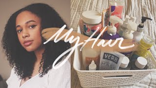 Natural/Curly Low-Porosity Wash &amp; Go | Hair Product Collective Review