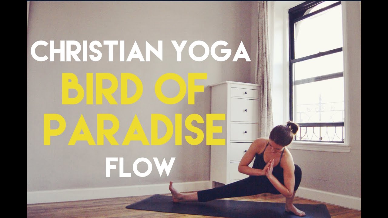 Bird Of Paradise Yoga Youtube Bird Of Paradise Yoga Youtube