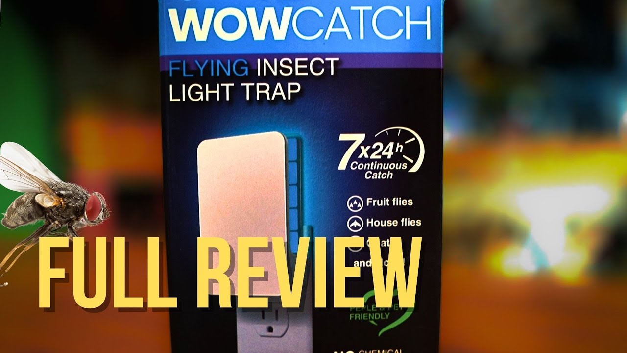 WOWCatch Flying Insect Trap Review | Garage Tested Bug Killer That Actually  Works!