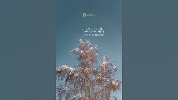 #قران_كريم #قرآن #قرآن_كريم #سورة_الملك #سورة #سورة_البقرة #اكسبلور #اكسبلور_فولو