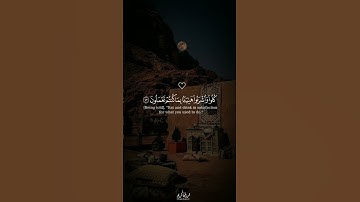 تلاوة تأخذك إلى عالم تاني راحة نفسية 🤍🎧  #قرآن #reels #اكسبلور