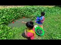 Amazing Fishing Video🐬🐬✔✔ | Two Expert village lady catch lot of fish with hook in village mud water
