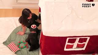 Merry Christmas FunnyFuzzy s new snow house has arrived It s a fun time for you and your furkids