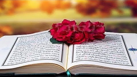 سوره الطور من﴿12﴾الي﴿18﴾مكرره ثلاث مرات❤🌼