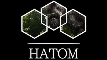 HaTom - Sicko (Music Video)
