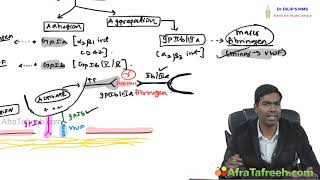 Basics of Hemostasis Part 1 screenshot 2