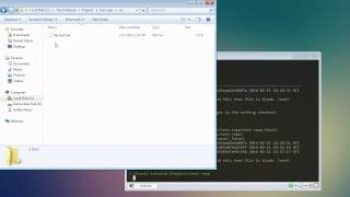 Fossil-scm 02 - Fossil editor settings  and user interface
