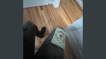 Shoot Or Get Shot Pt. 2