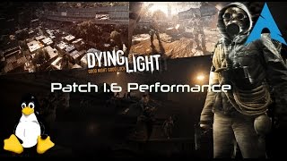 Linux Gaming: Dying Light - 1.6 Performance patch [Native]