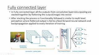 Image Captioning by Amit Kumar