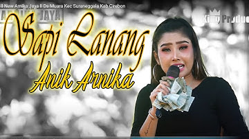 Sapi Lanang - Anik Arnika - ll New Arnika Jaya ll Ds Muara Kec Suraneggala Kab Cirebon
