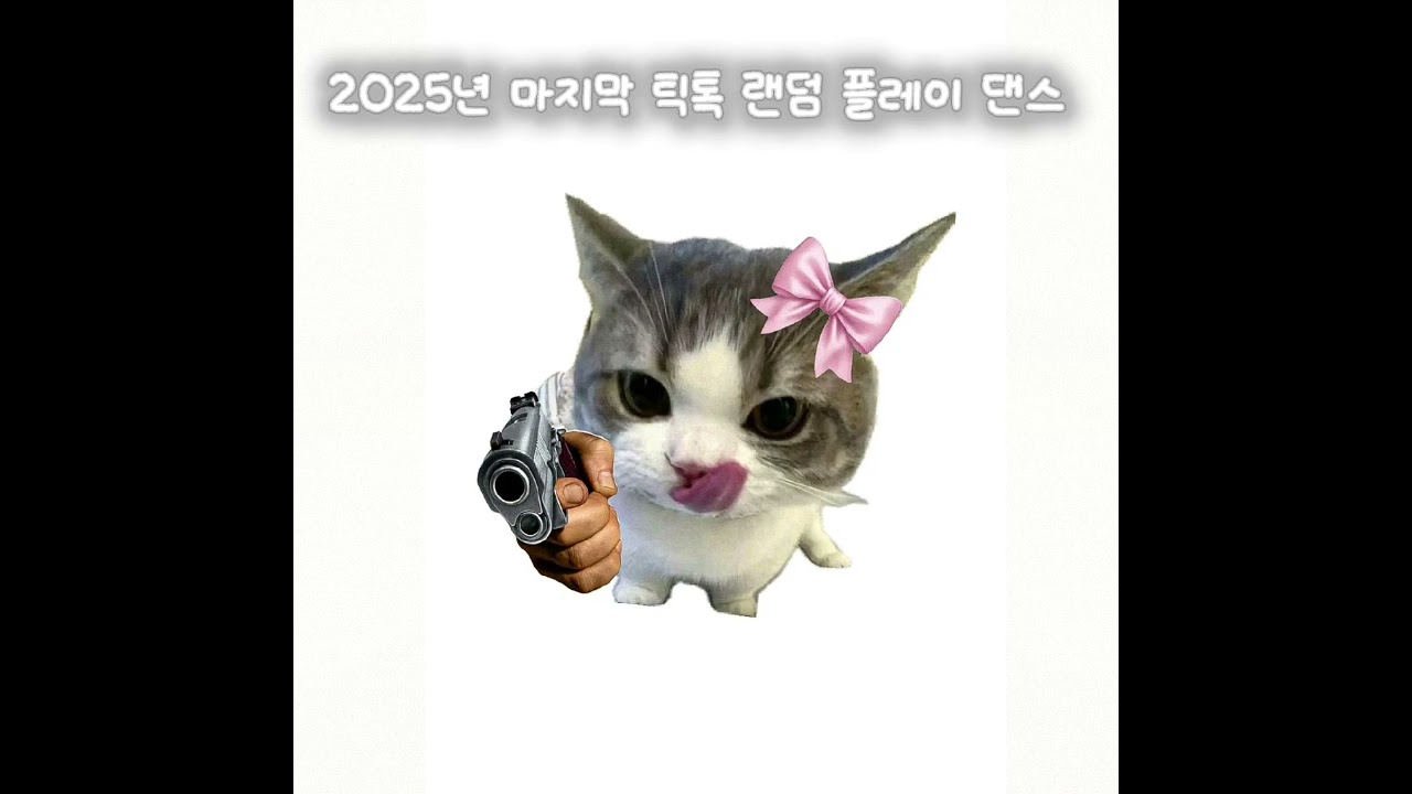 #틱톡