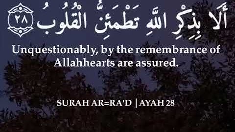 قران كريم راحه للنفس اكتب شيء تؤجر عليه باذن اللهquran_kareem❤️‍🩹❤️‍🩹