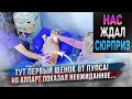 Вот так сюрприз! Приехали в клинику на роды у собаки и узнали...