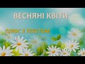 Весняні квіти ТЕКСТ