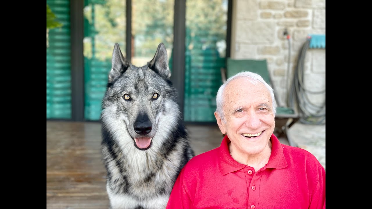SAVEZ-VOUS PARLER CHIEN ?