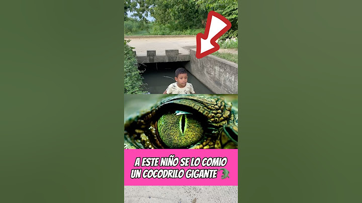 A este Niño se lo comió un cocodrilo gigante 😱😱😱 #shorts #fyp #parati #viralshorts