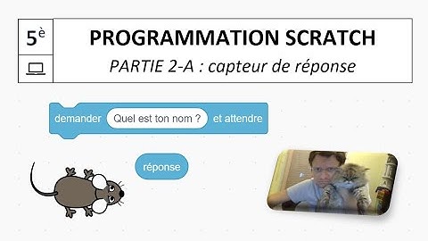 5è / S2-1 / SCRATCH / Demander une réponse / Ex 11 et 12 (carrés)