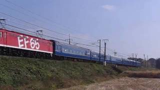 2009/10/18　回9501ﾚ(EF65 1118)