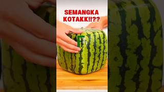 Semangka kotak!? kok bisa?? #shorts #shortvideo #trending #farming #feedshorts #jepang