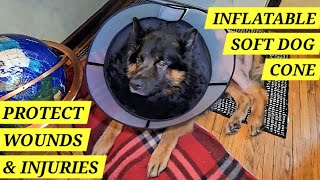 Say Goodbye to the 'Cone of Shame': Inflatable Dog Collar Review!