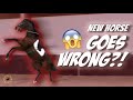 WAS THIS A MISTAKE? - Racehorse Rescue - OTTB Series Episode 3