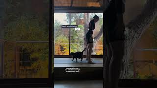 Backbend Diaries Day 2