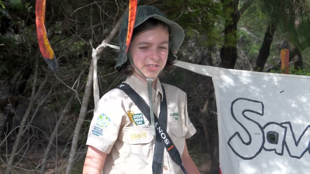 Save Sunrise Glossies - Habitat Destruction in Sunrise Beach