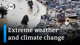 Weather extremes add pressure for climate action | DW News screenshot 1