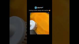 Precision meet sweet—this automatic mango processing line is revolutionizing fruit tech! 🥭#shorts