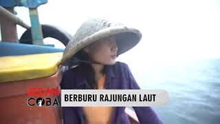 BERBURU RAJUNGAN LAUT | BERANI COBA (27/08/22)